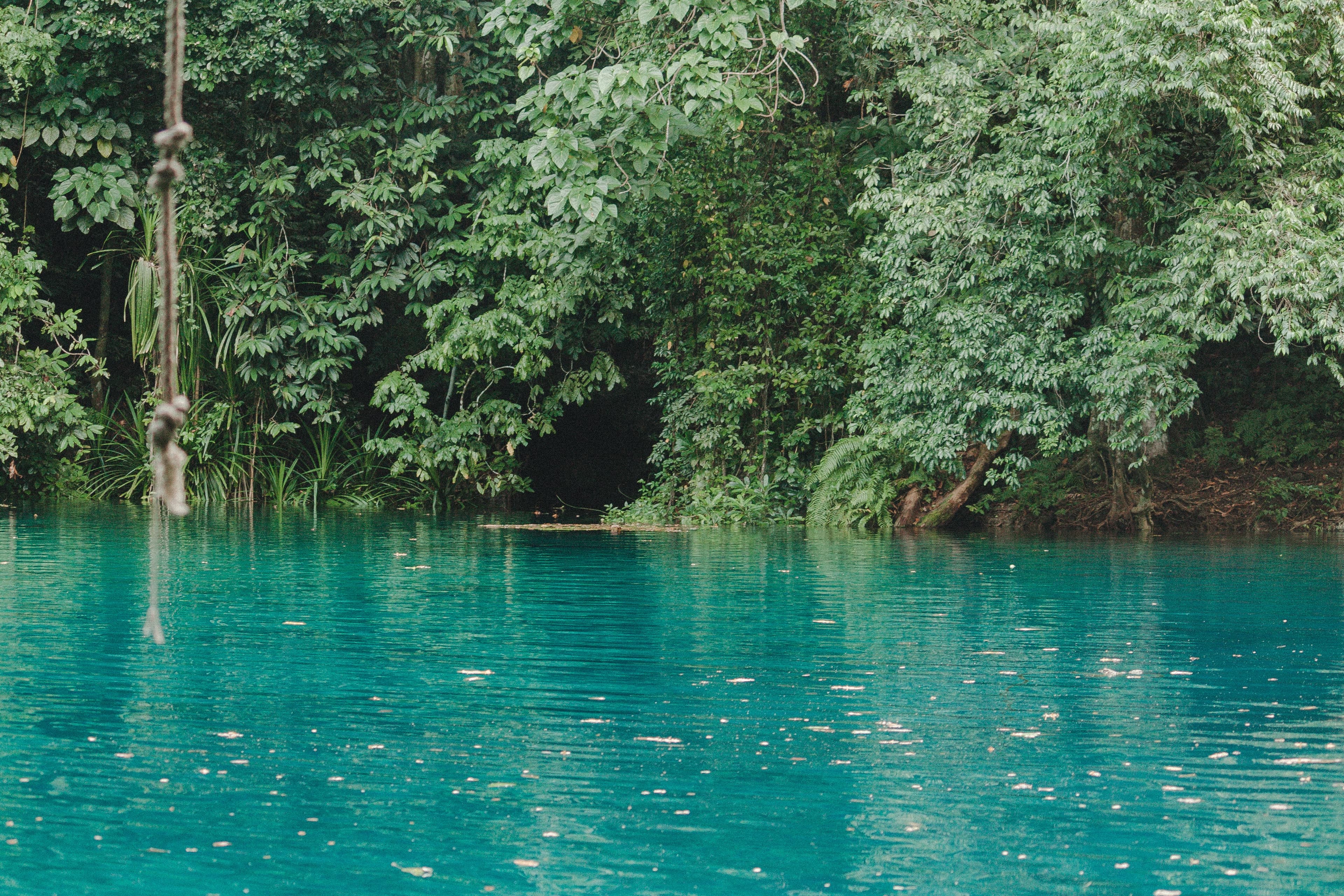 Blue Hole (Ocho Rios)